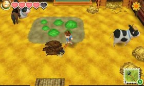 story-of-seasons-3ds-04
